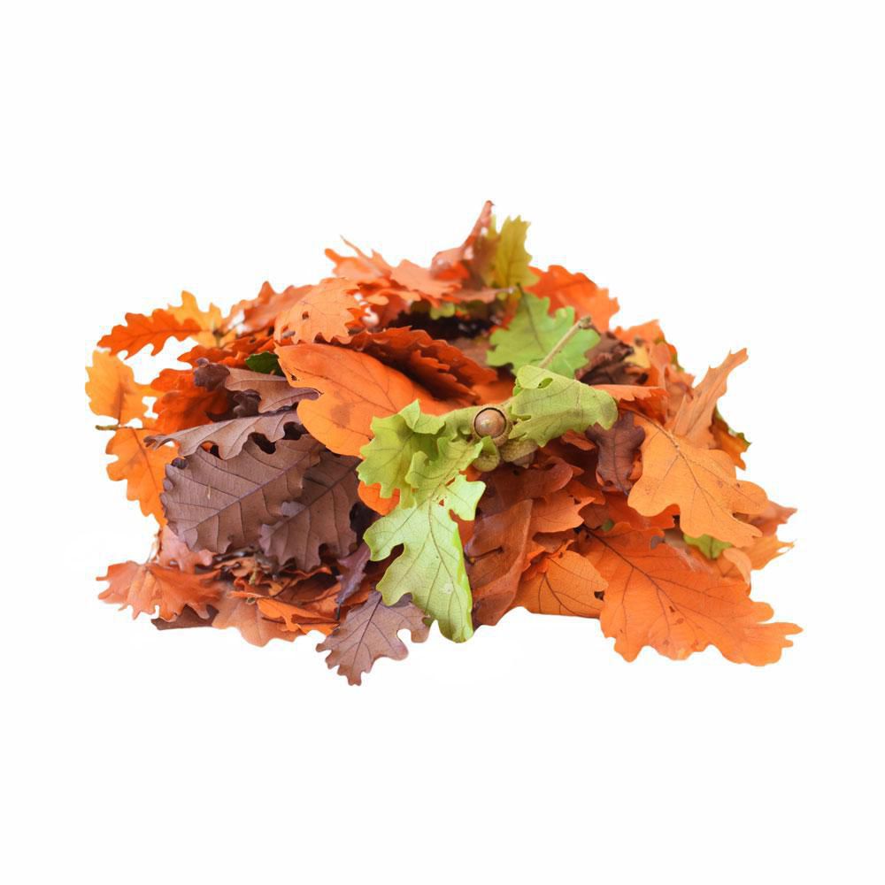 sacco-misto-foglie-conf-kg-1-mix-colori-autunnali