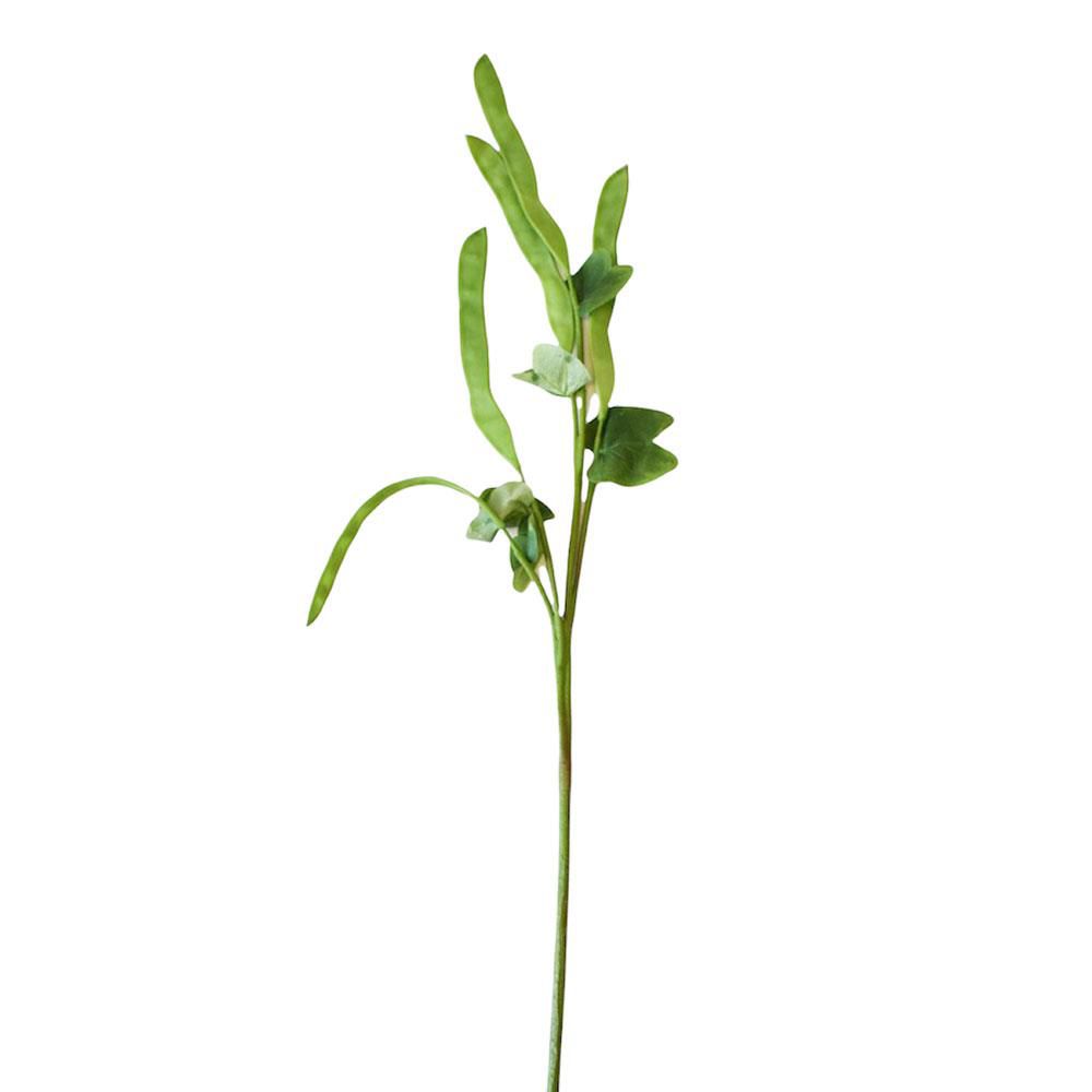 hyacinth-bean-spray-cm-100-120-verde