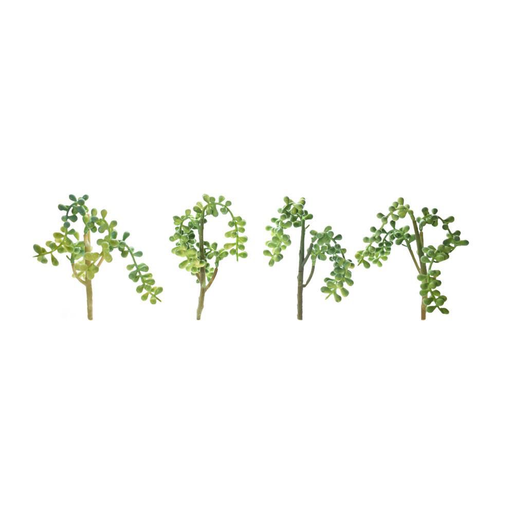 succulent-pianta-4f-cm-25-verde-ass