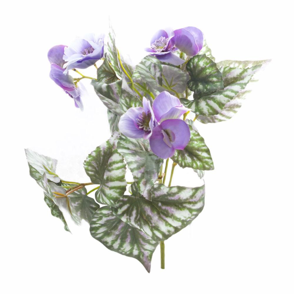 begonia-fiorita-cm-28-lavanda
