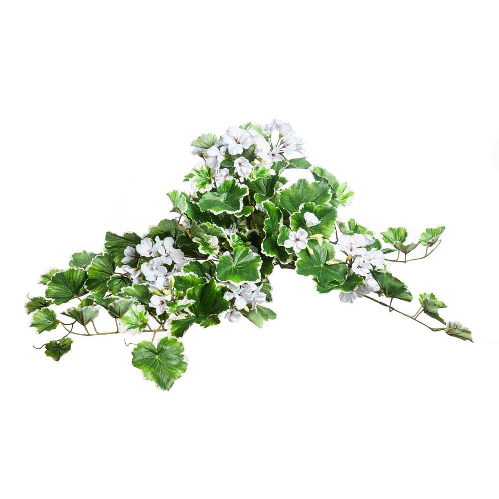 geranio-fiorito-bouquetcm-60-bianco