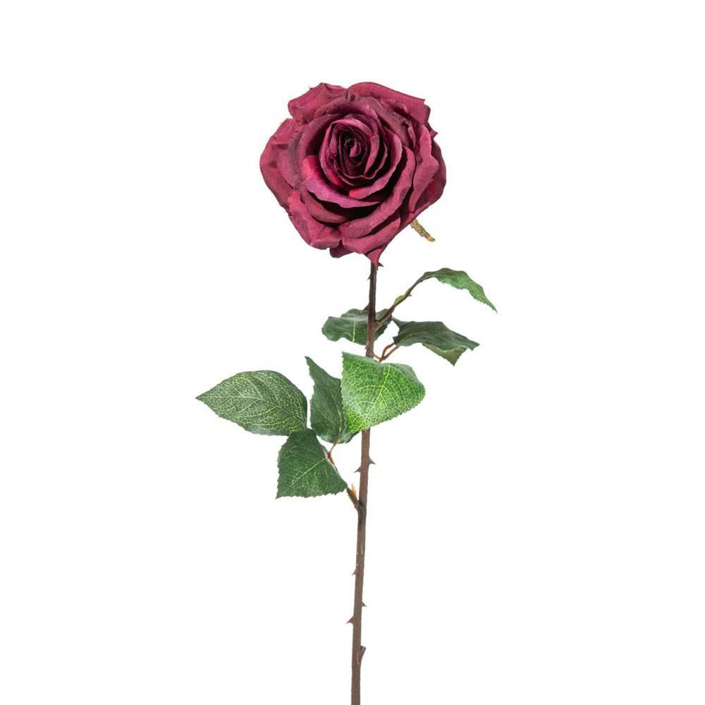 rosa-singola-cm-52-burgundy