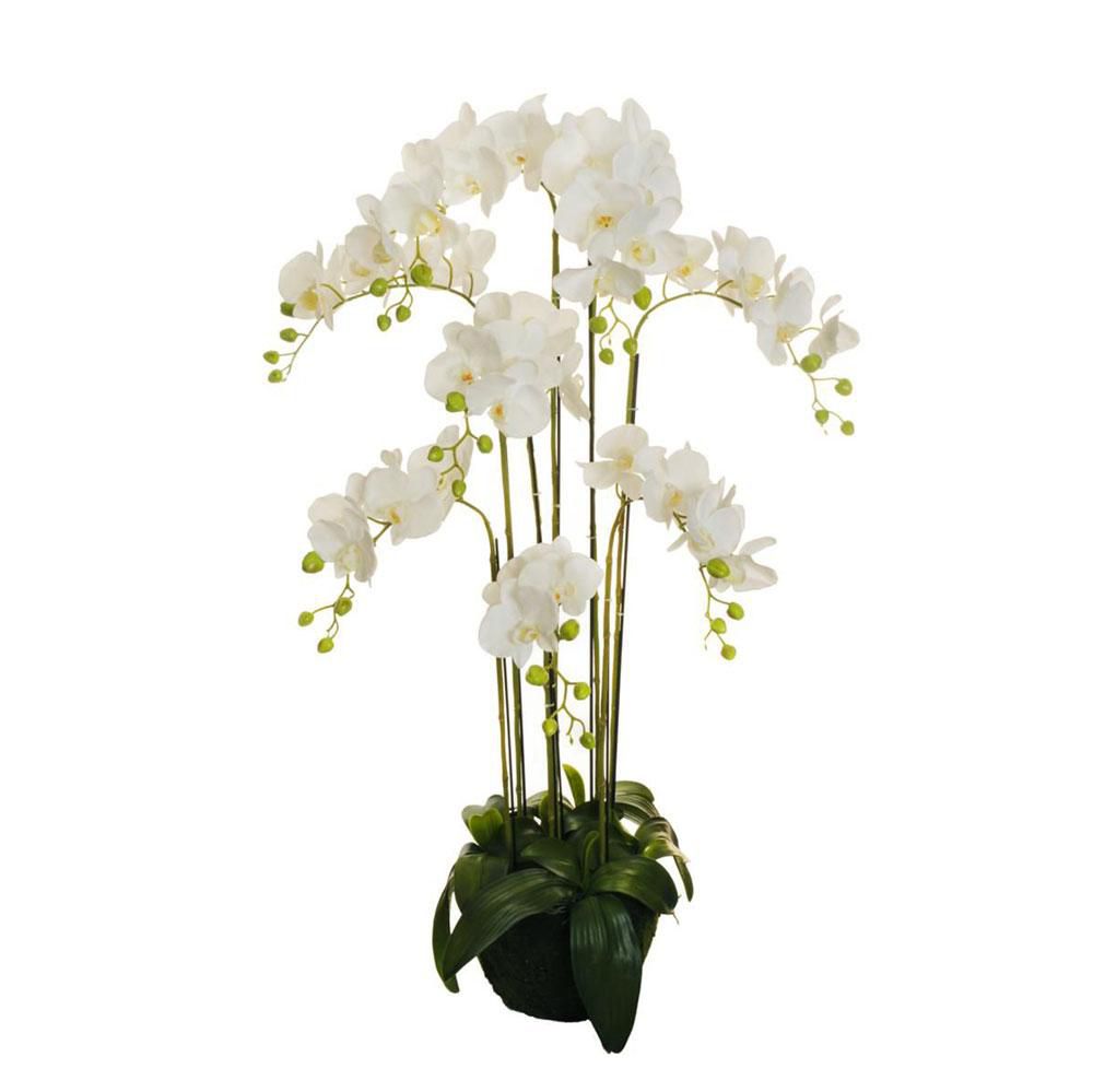 phalaenopsis-pianta-realtouch-c-bulbo-21f-d-28-cm-125-bianco