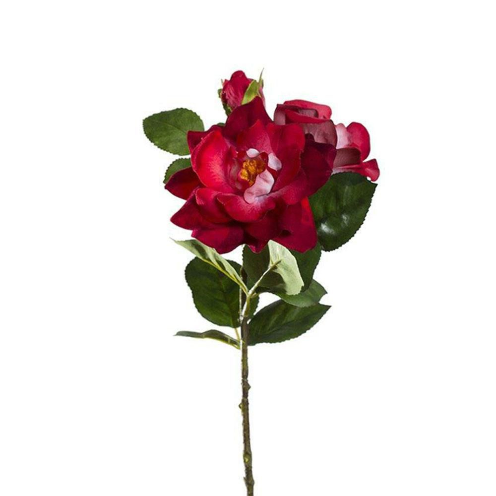 rosa-3f-cm-55-rosso-ciliegia