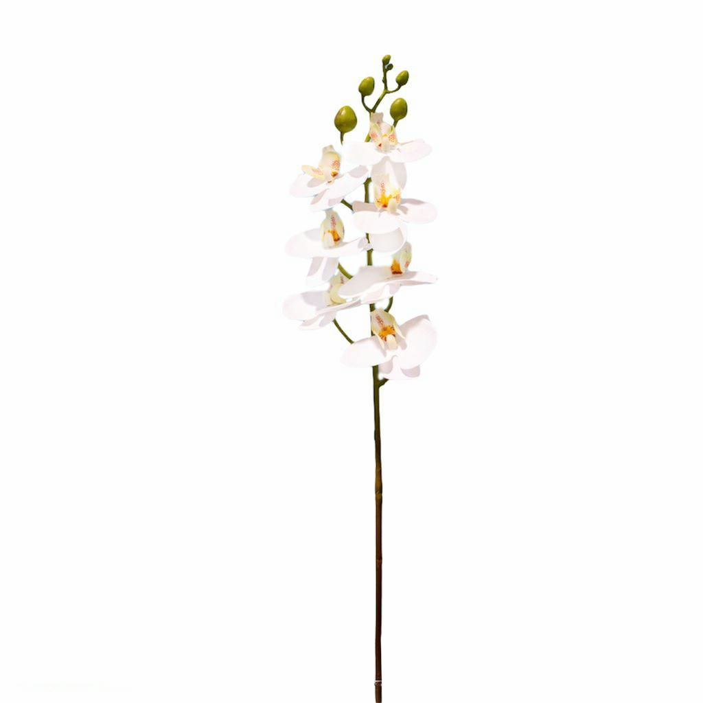 PHALAENOPSIS REAL TOUCH7F CM.65 BIANCO