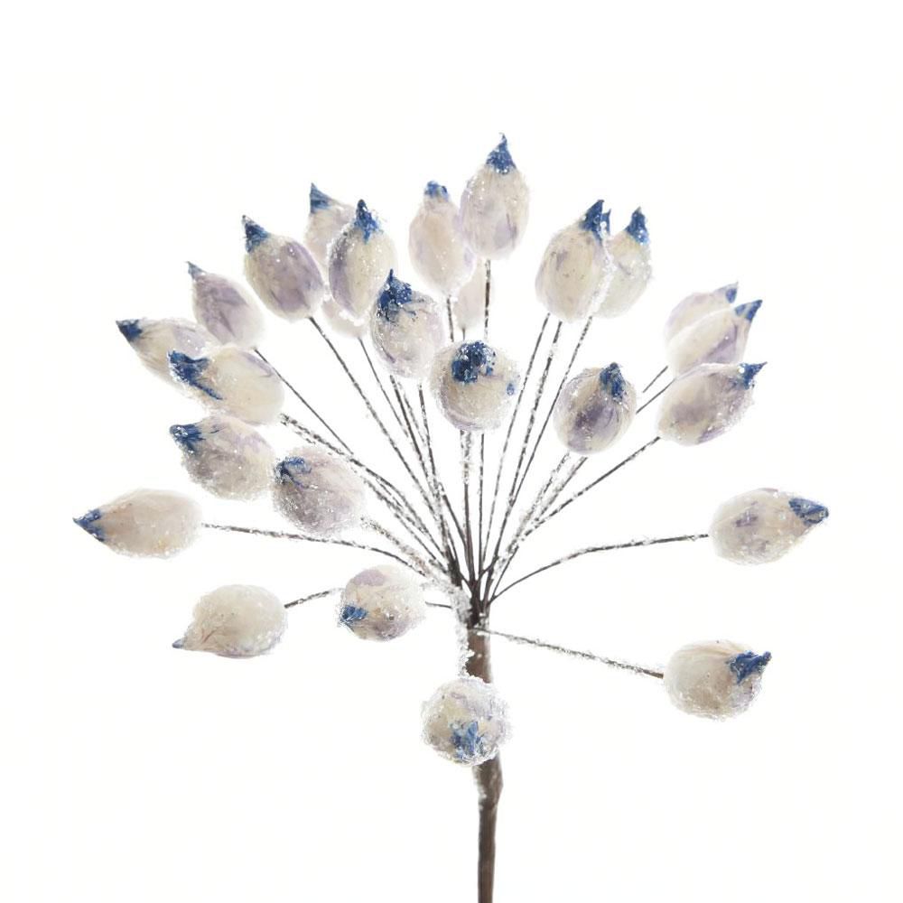 HOGWEED BOUQUET D15X67 FROSTED BIANCO/BLU