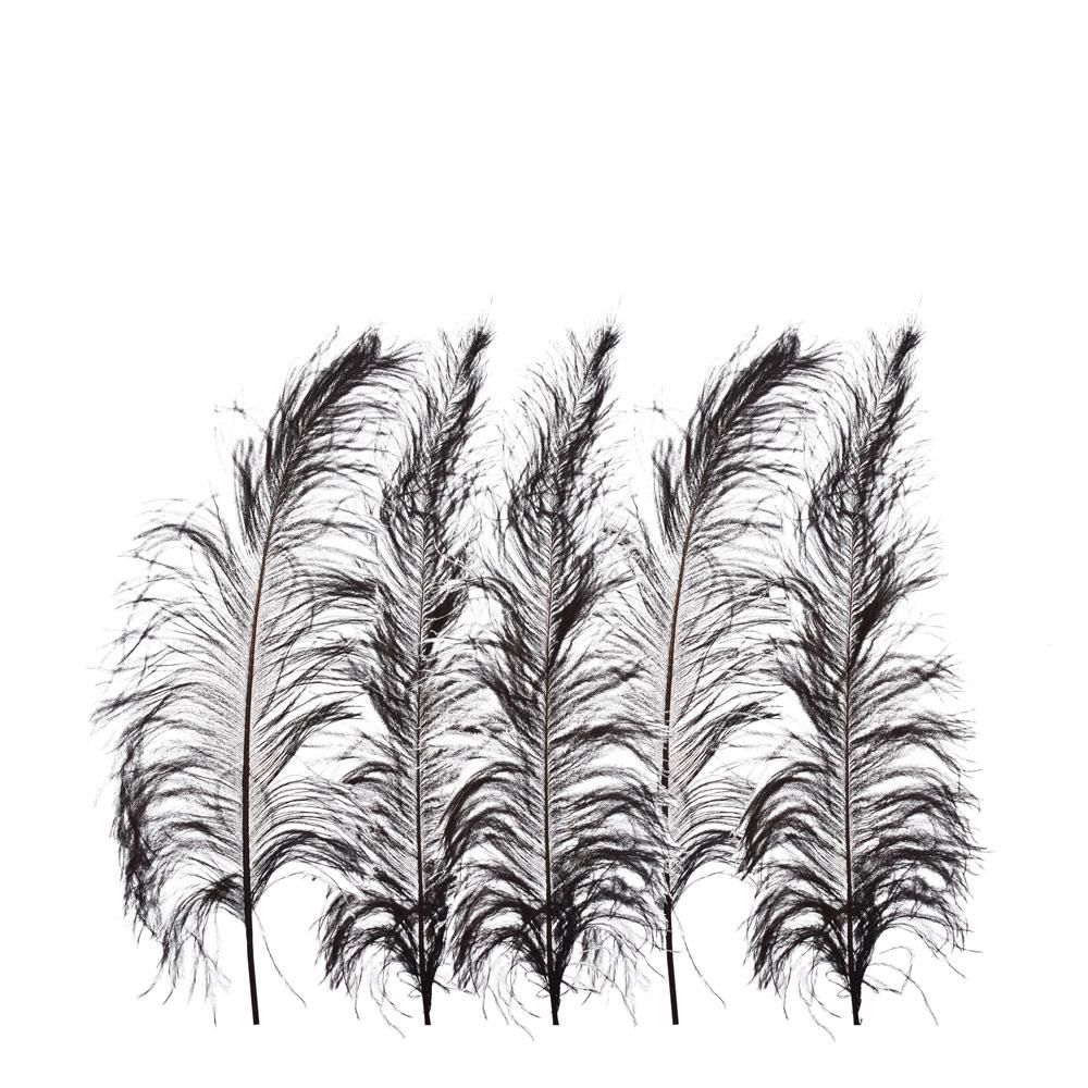 50 Piume Di Struzzo Naturali | Lunghezza 15-20cm | Nero | Per Decorazioni E Fai-Da-Te - Foto 10