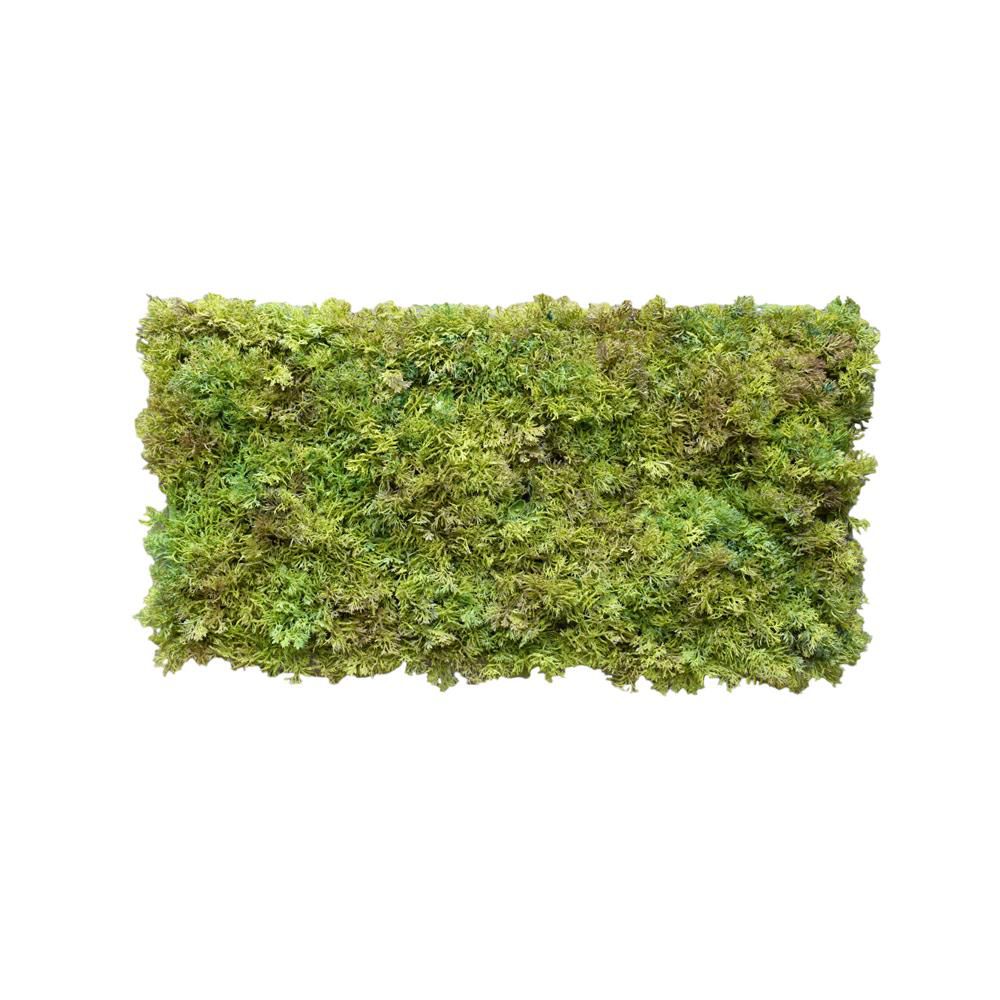 mattonella-muschio-cm-25×50-verde