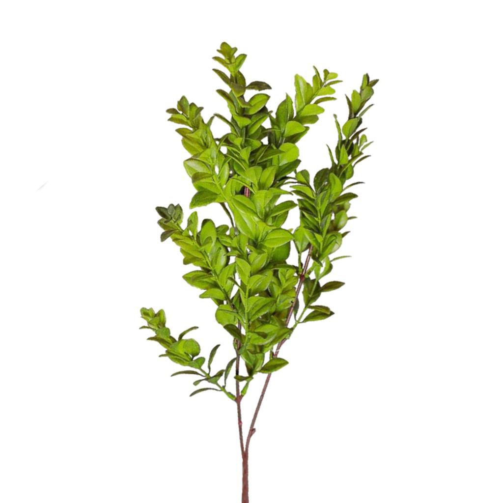 ramo-foglie-bosso-17x-cm-73-verde