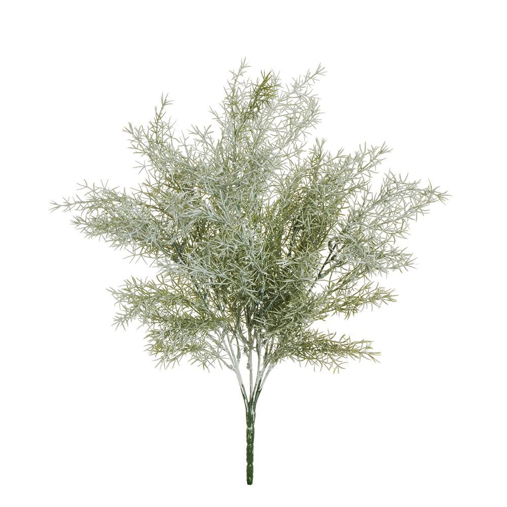 asparago-bush-7x-cm-51-verde