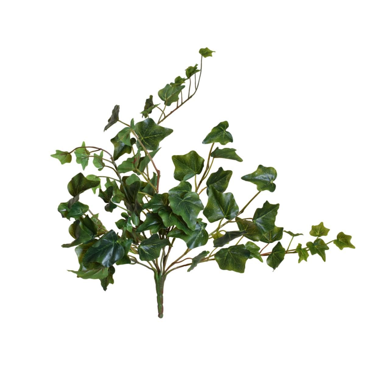 edera-vite-mini-bush-78f-cm-55-verde