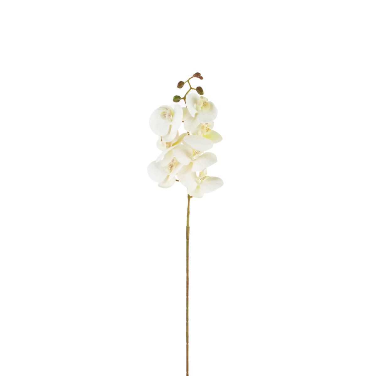 PHALAENOPSIS NATURAL TOUCH CM.105 BIANCO