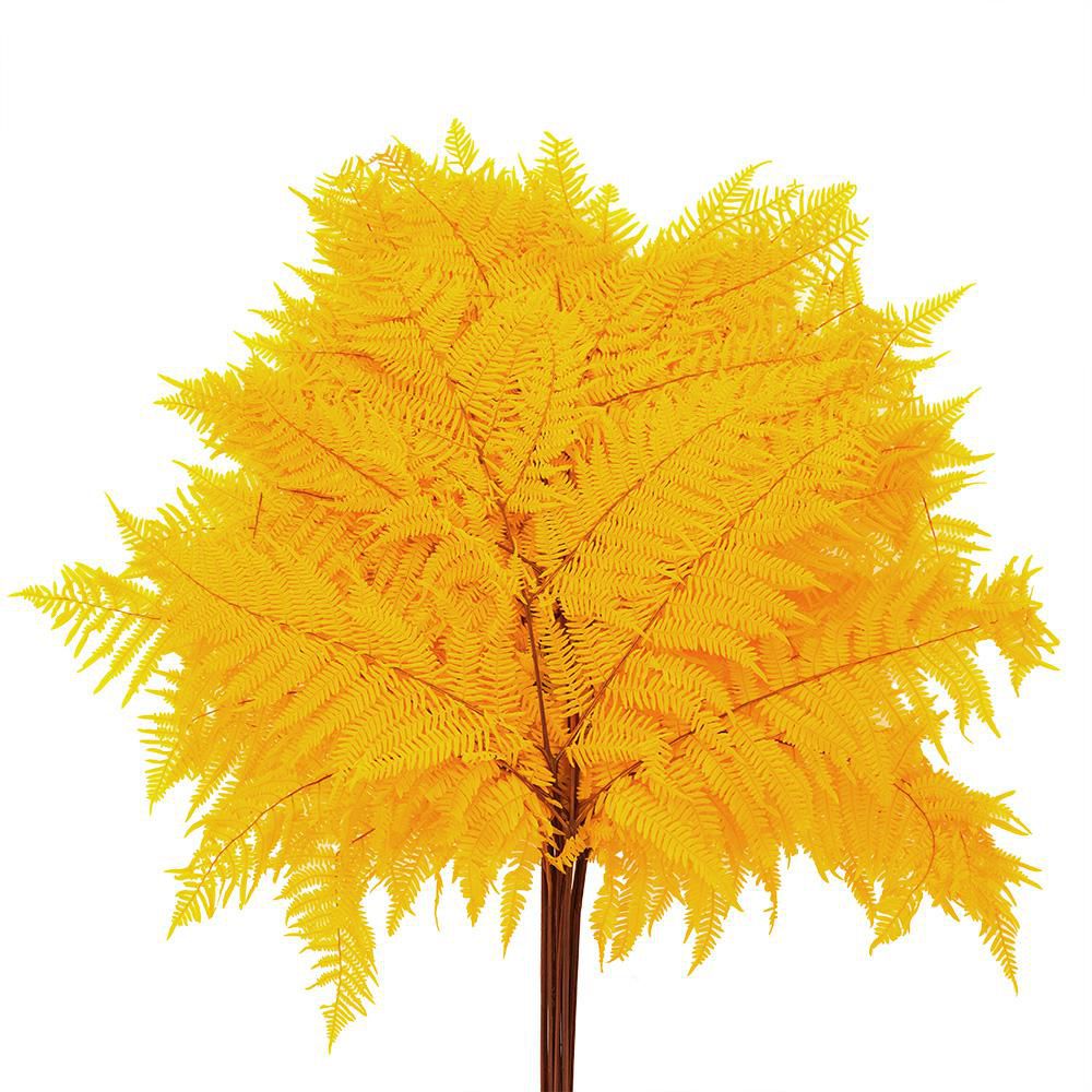 FELCIONE STABILIZZATO CONF.PZ.10 CM.60 03-GIALLO-ORO