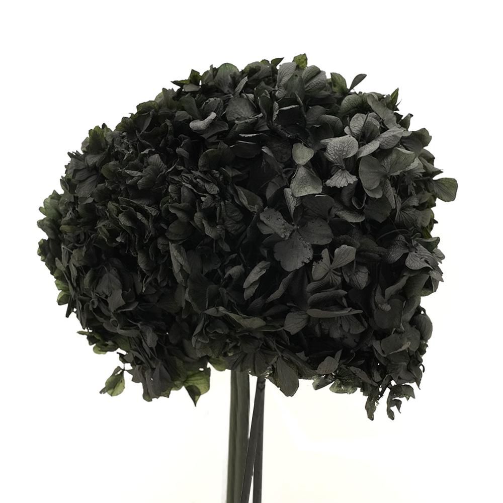 HYDRANGEA STABILIZZATA CM.40 NERO 69