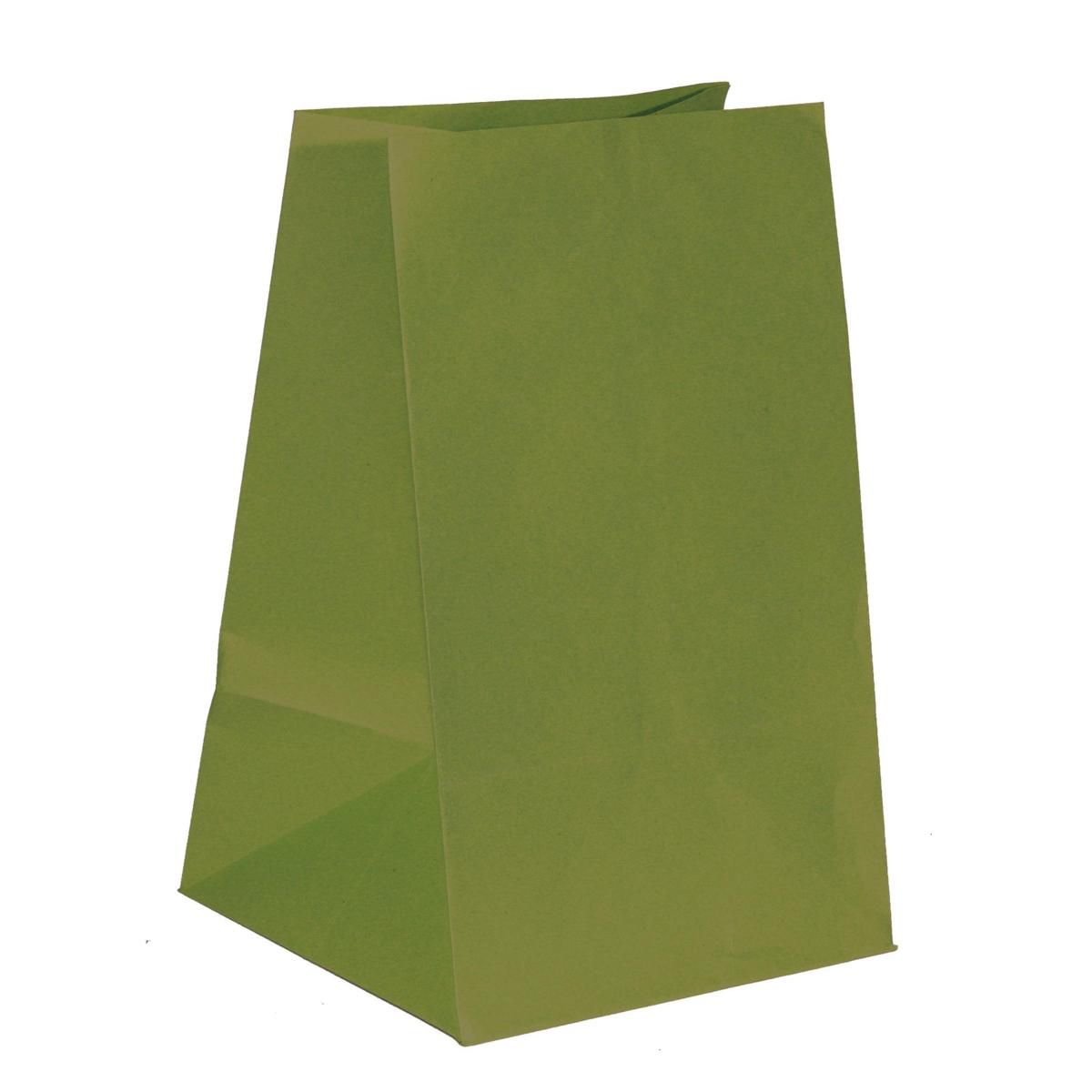 SACCHETTI CARTA 22X24 CM H.38 CM CONF.PZ.10 VERDE