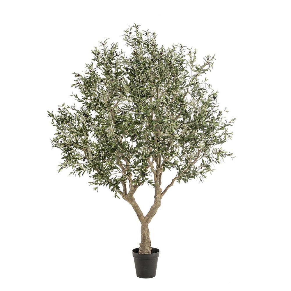 OLIVO PIANTA C/VASO CM.250 VERDE