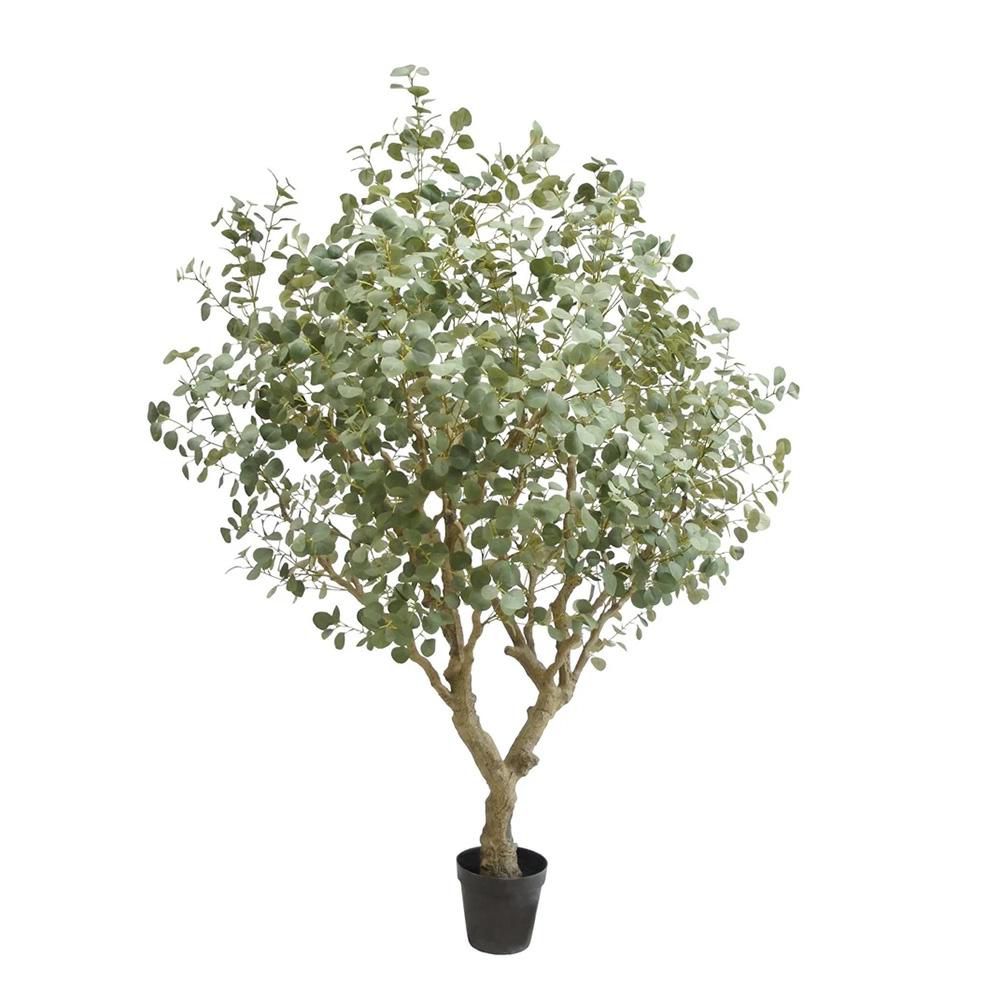 EUCALYPTO PIANTA C/VASOCM.240 VERDE