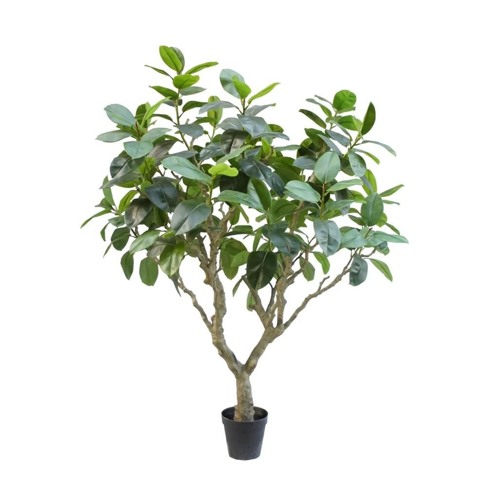 FICUS ELASTICA PIANTA C/VASO CM.240 VERDE