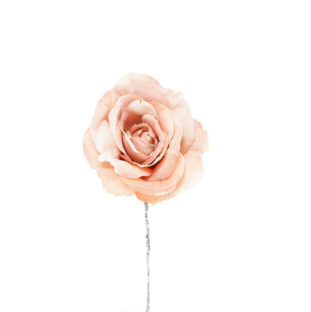 ROSA INNEVATA CM.45 PESCA