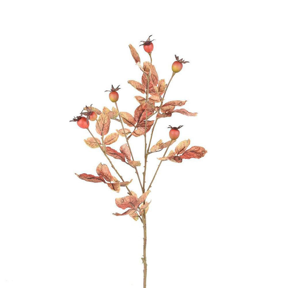 ROSA CANINA RAMO 5X CM.85 ARANCIO