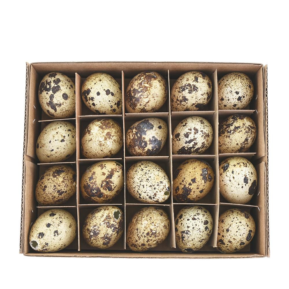 SET 60 UOVA DI QUAGLIA IN SCATOLA D.3,5 NATURALE