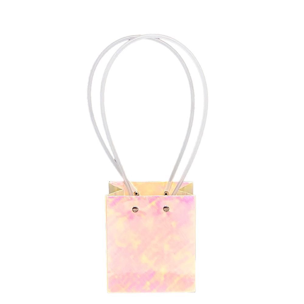 SET 6 SHOPPERS PPL 11,5X10,5 CM H.13 CM IRRIDESCENTE