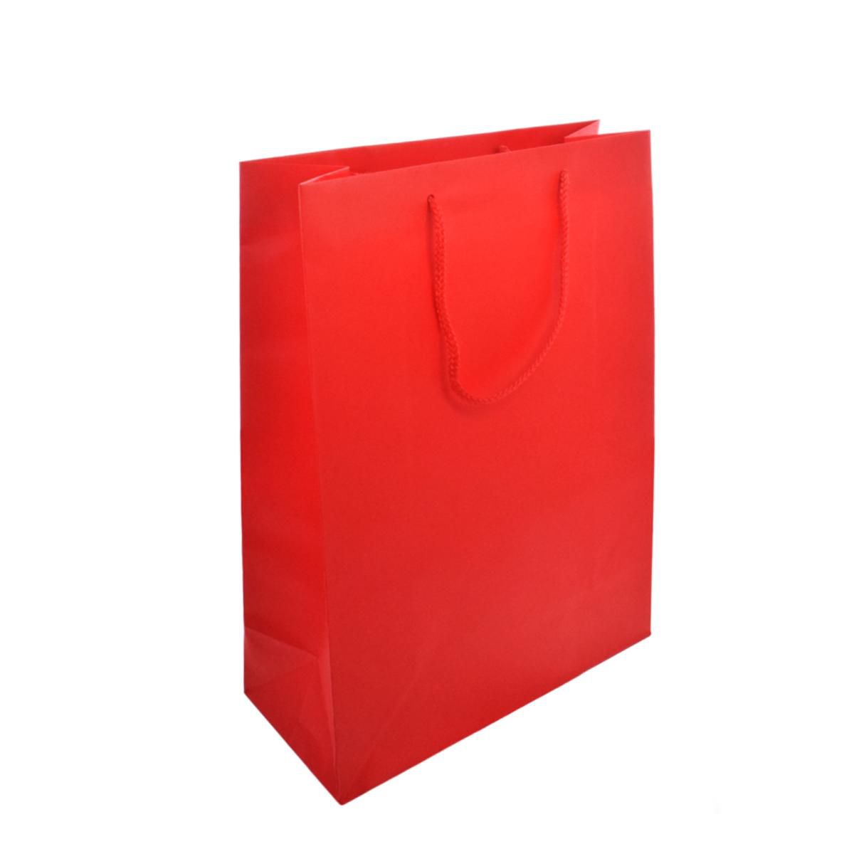 SHOPPERS CARTA SHOPPING45X49+16 CM CONF. PZ.12 ROSSO