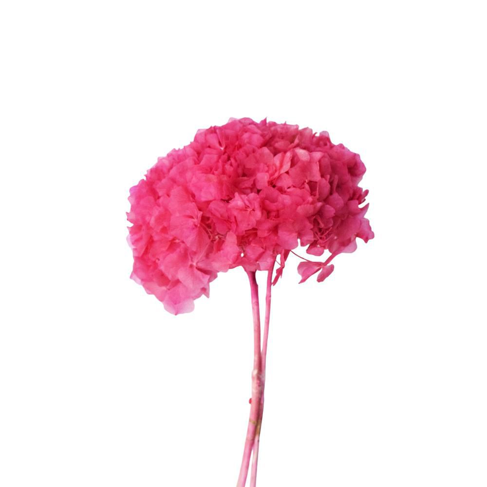 HYDRANGEA STABILIZZATA CM.40 CICLAMINO 06/P