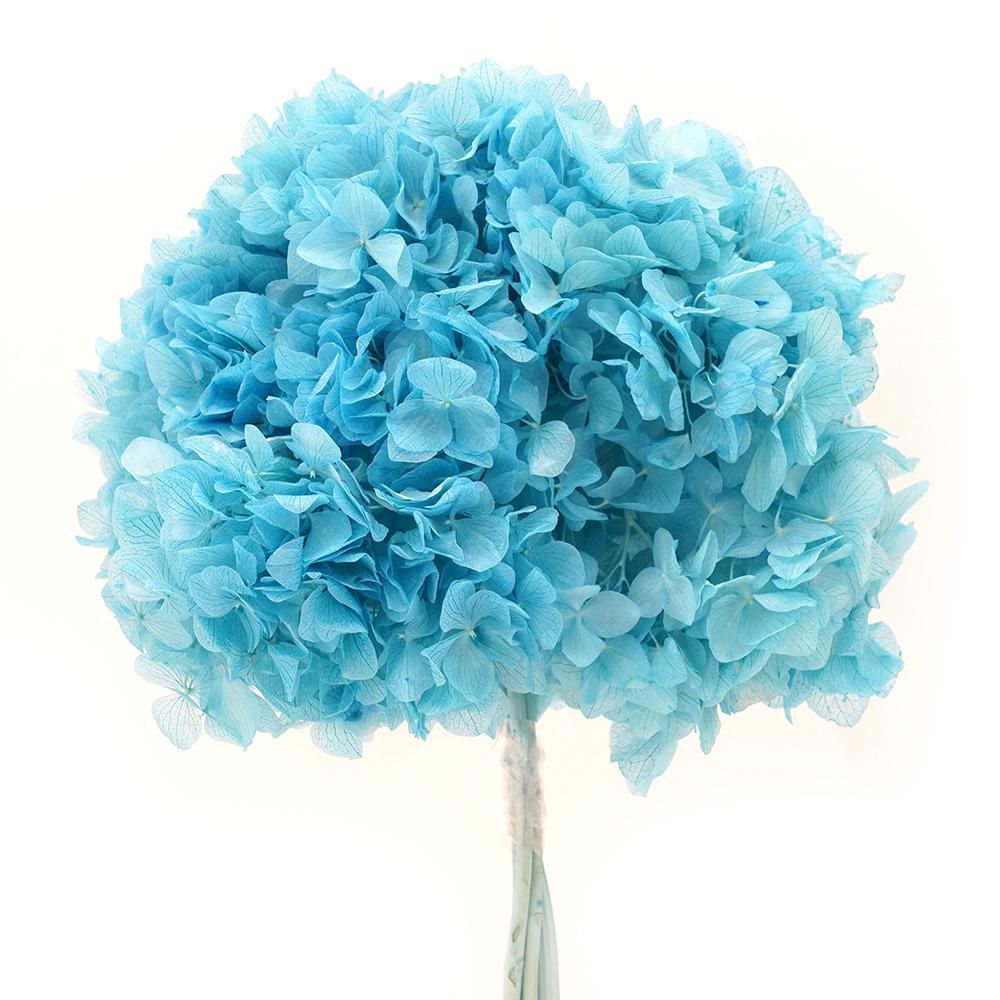 HYDRANGEA STABILIZZATA CM.40 ACQUAMARINA 124/P