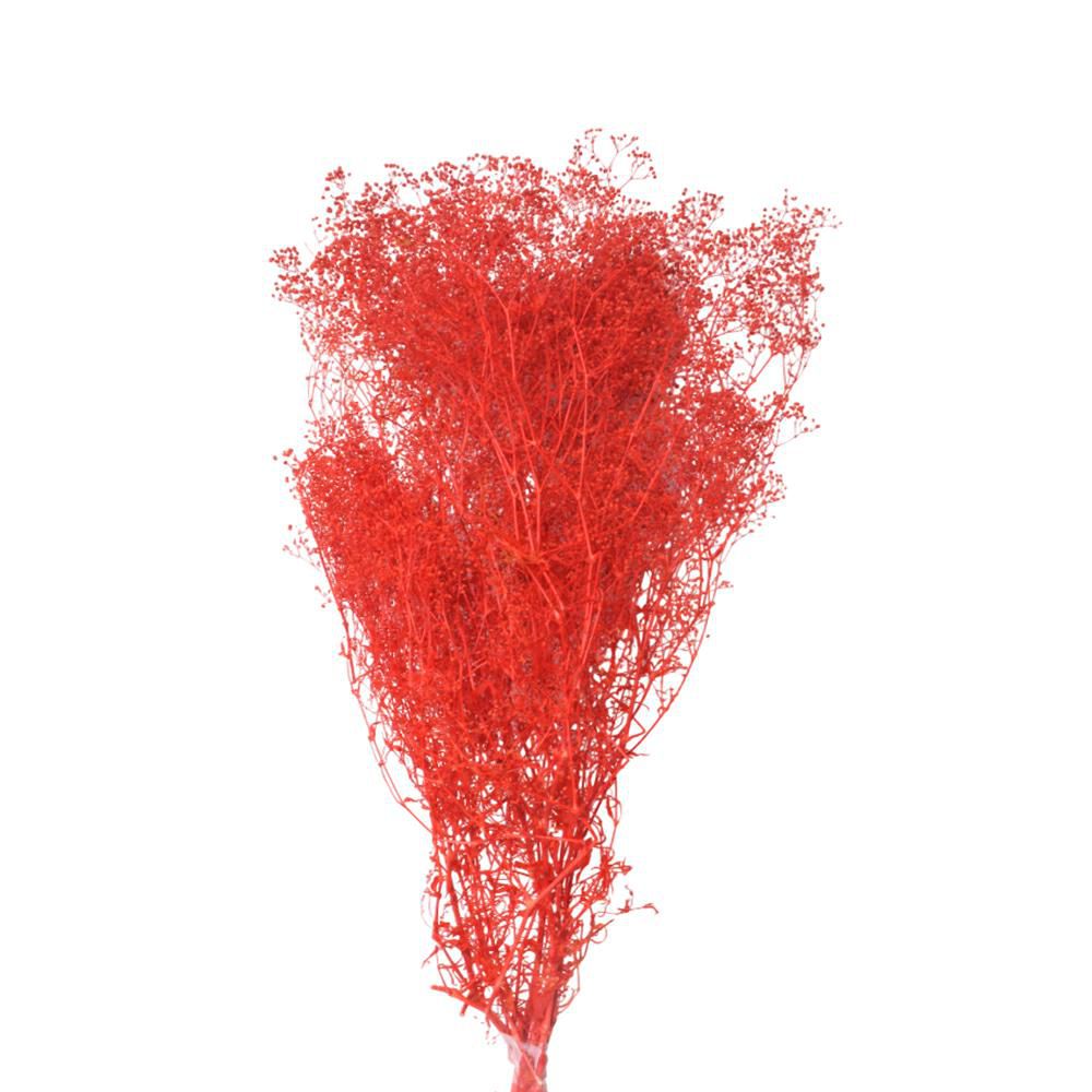 MINI GYPSOPHILA SACCHETTO GR.50 CM.52 ROSSO 10/P