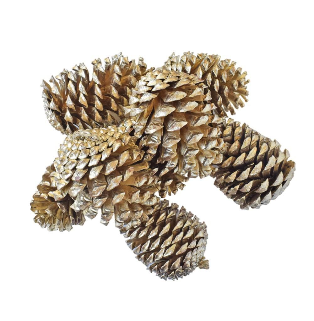 PIGNA MARITIMA H.10/14 CM PZ.10 ORO