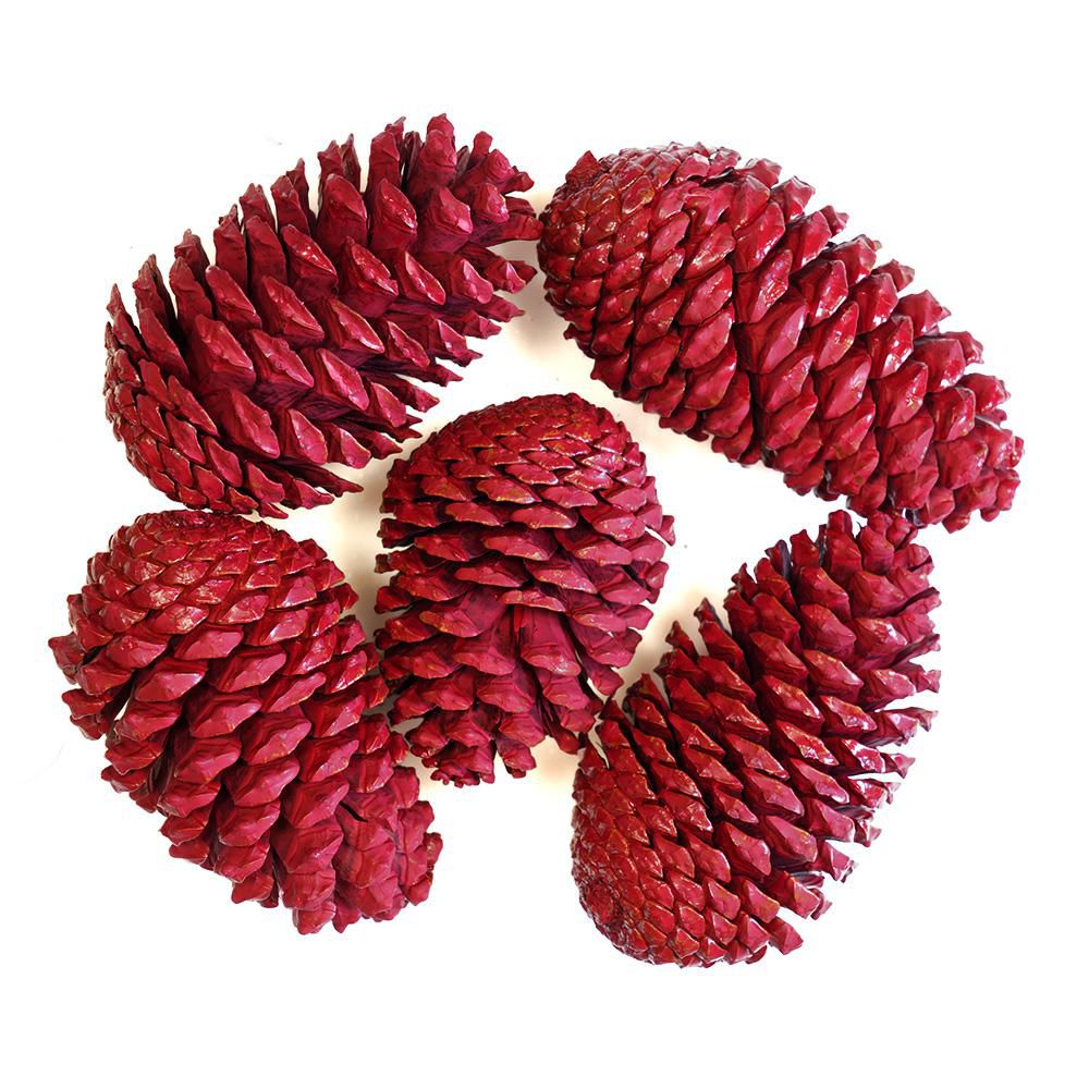 PIGNA MARITIMA H.10/14 CM PZ.10 LACCATO ROSSO