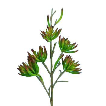 SUCCULENT RAMO CM.90 BURGUNDY/VERDE