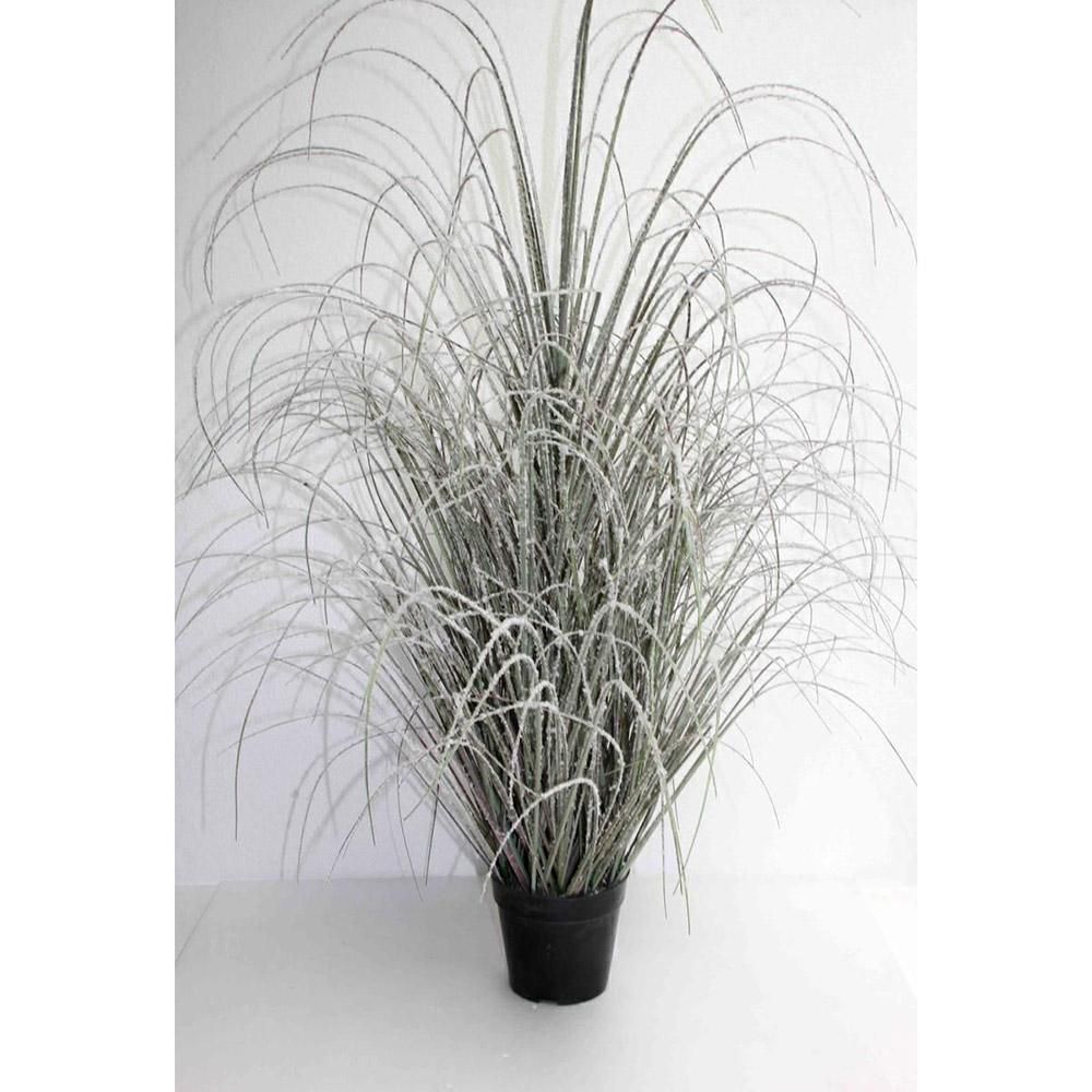 CIUFFO ERBA -ONION GRASS- C/VASO CM.152 VERDE FROSTED