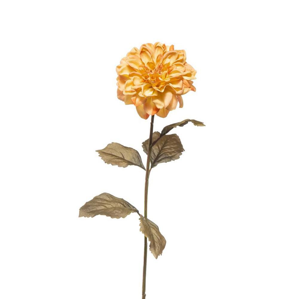 DALIA CM.68 BURRO DALIA CM.68 BURRO