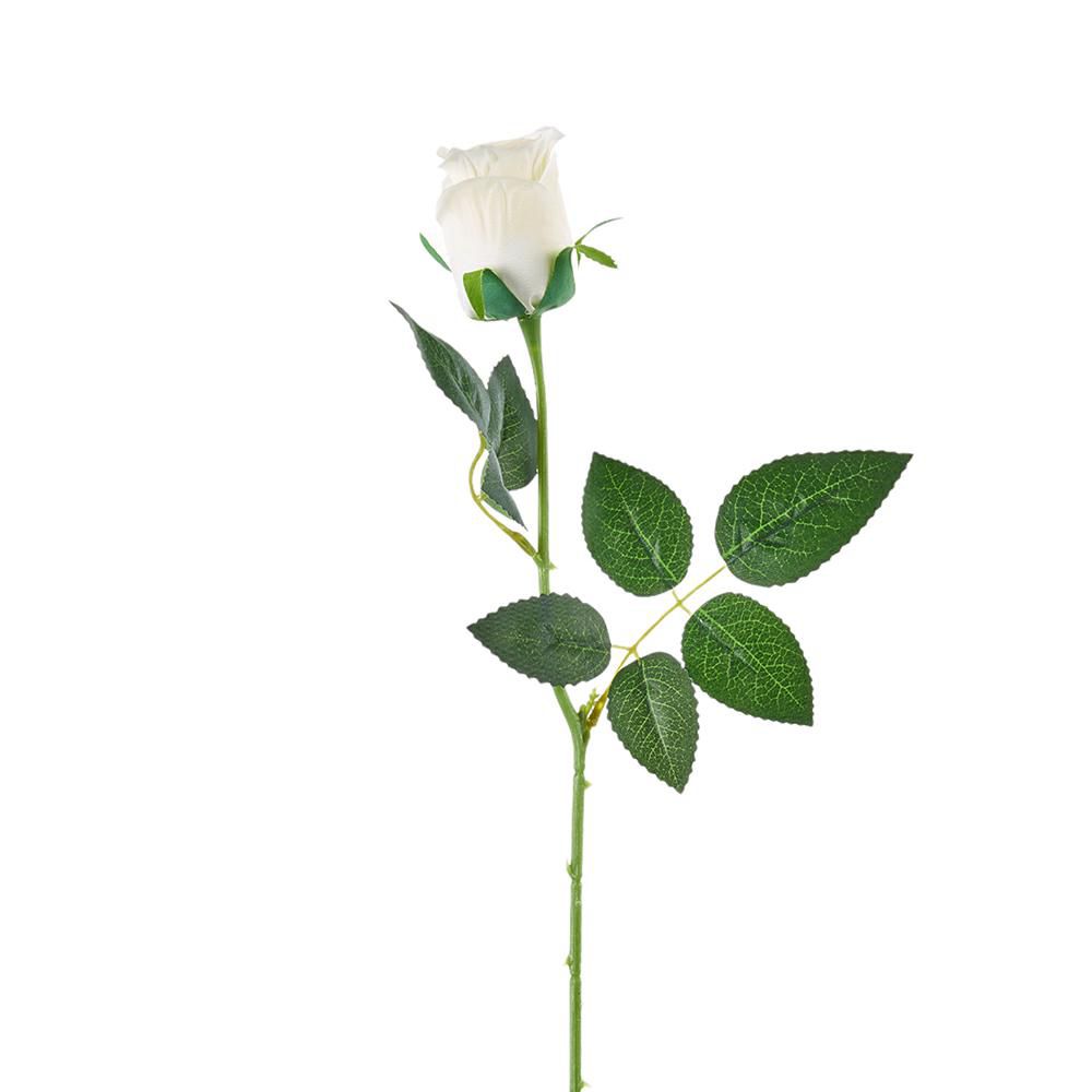 ROSA BOCCIOLO SINGOLO CM.64 BIANCO