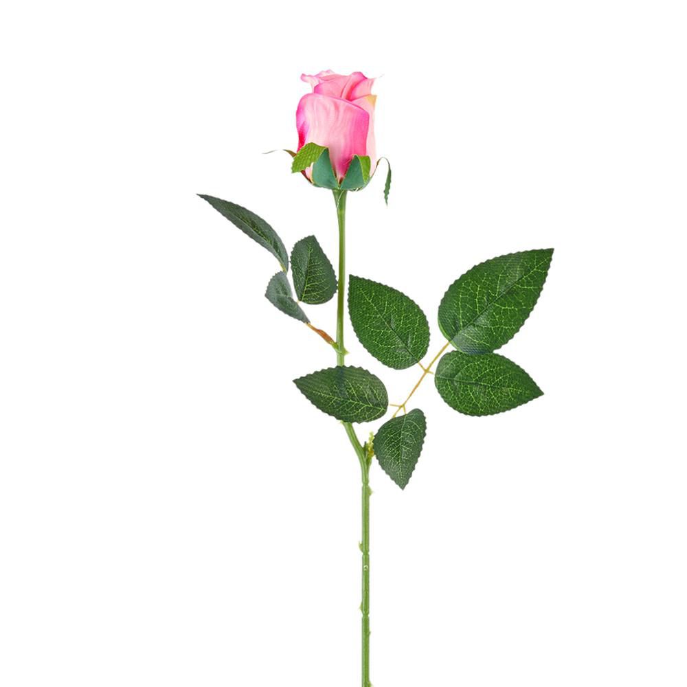 ROSA BOCCIOLO SINGOLO CM.64 ROSA