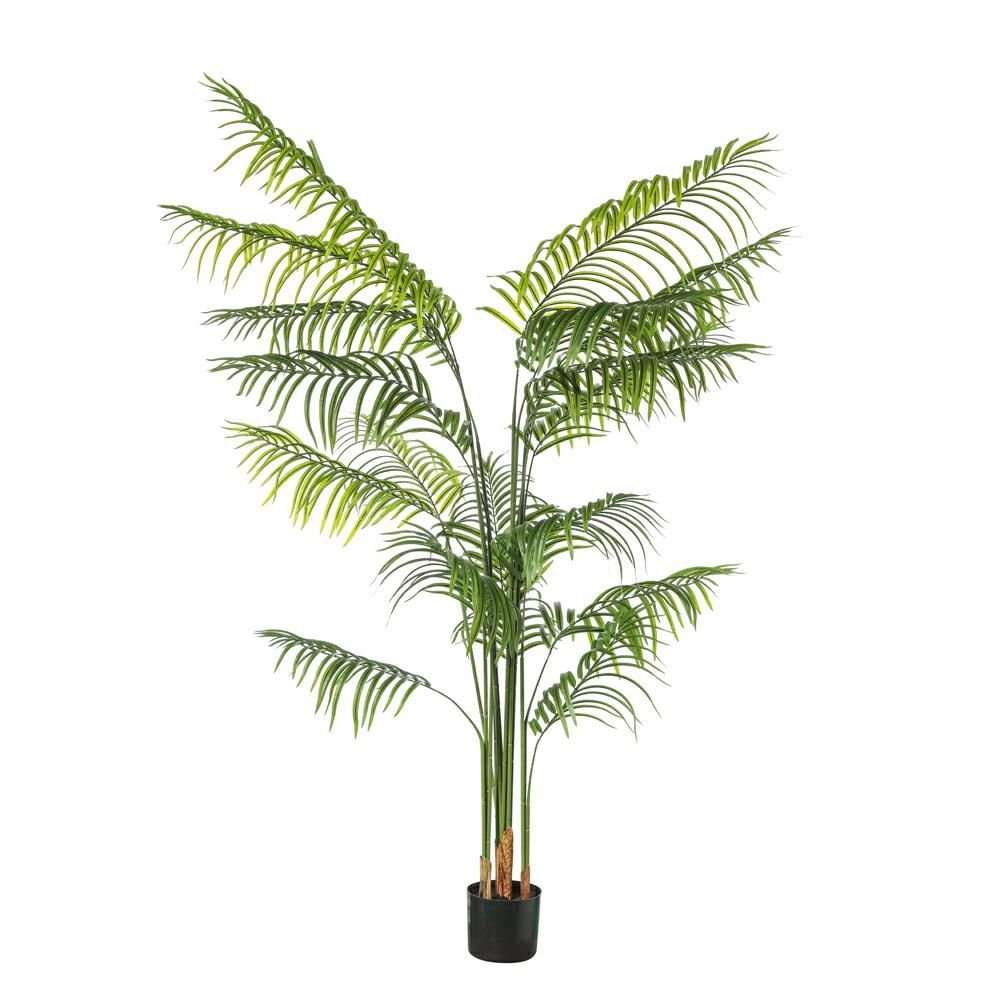 ARECA PIANTA C/VASO 15FCM.200 VERDE