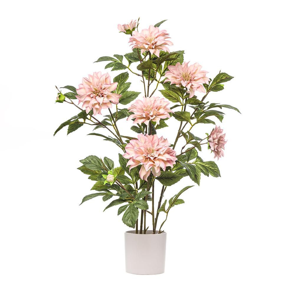 DALIA PIANTA C/VASO 5F 5B CM.80 ROSA/LILLA