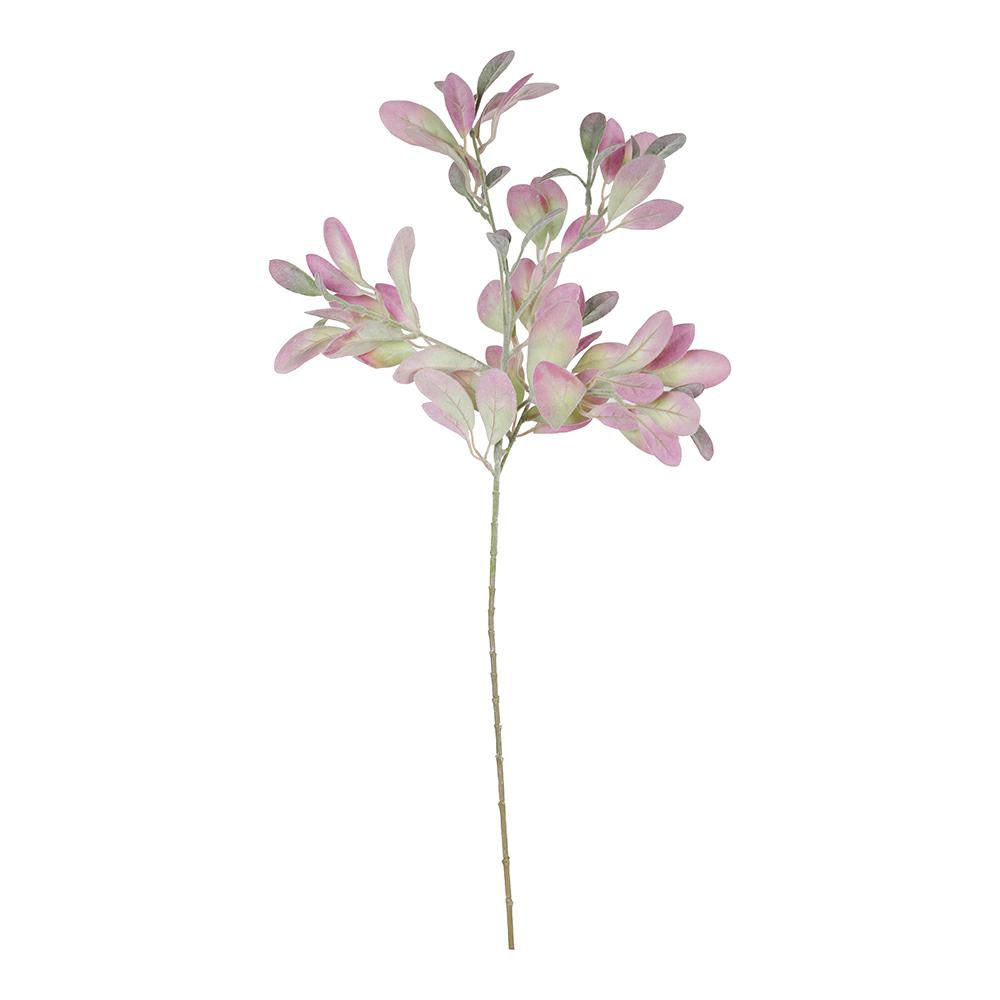 SALVIA TRALCIO FLOCCATOCM.82 LAVANDA