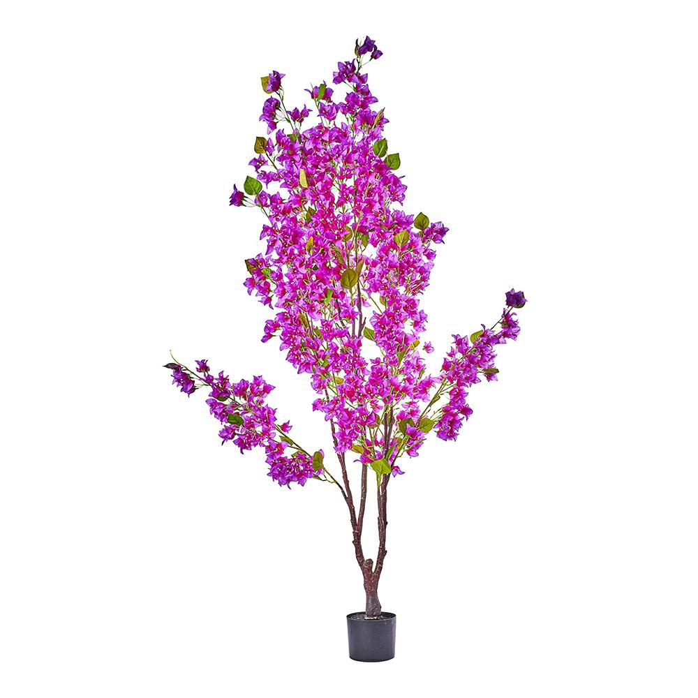 BOUGANVILLE PIANTA C/VASO CM.180 FUXIA