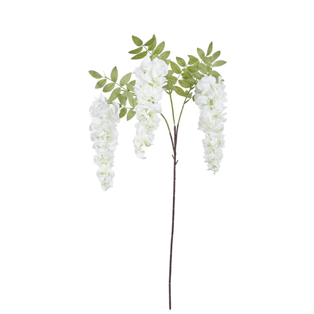 GLICINE RAMO 3X CM.105 CREMA