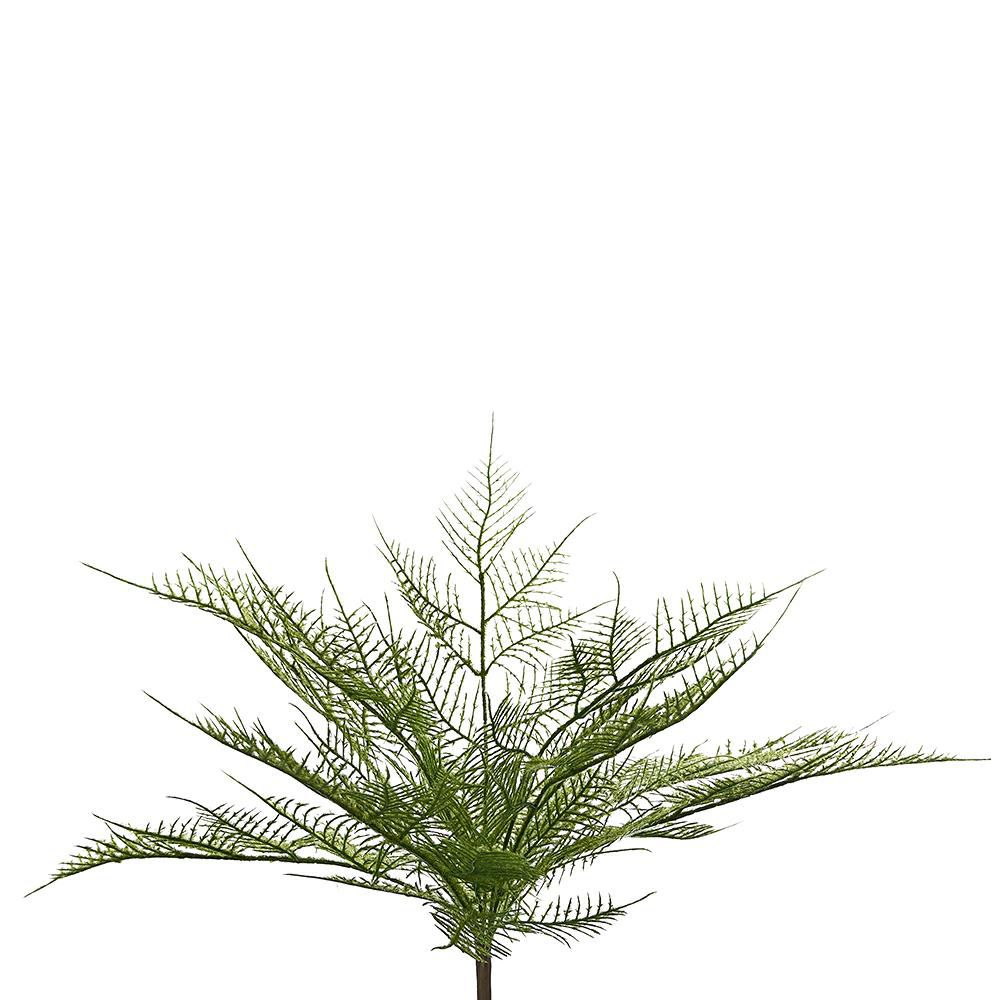 BUSH SPARAGINA CM.30 VERDE