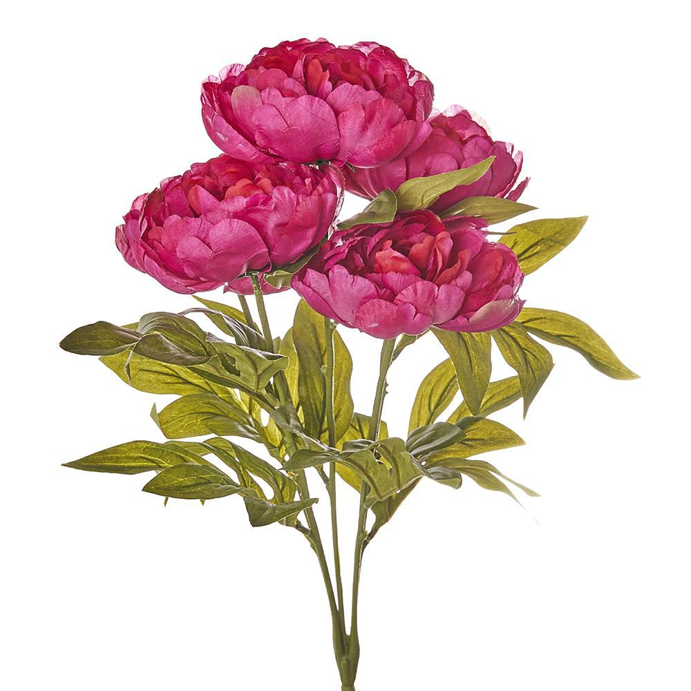 PEONIA BOUQUET 5F CM.50BEAUTY