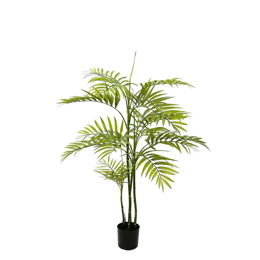 ARECA PIANTA C/VASO CM.110 VERDE