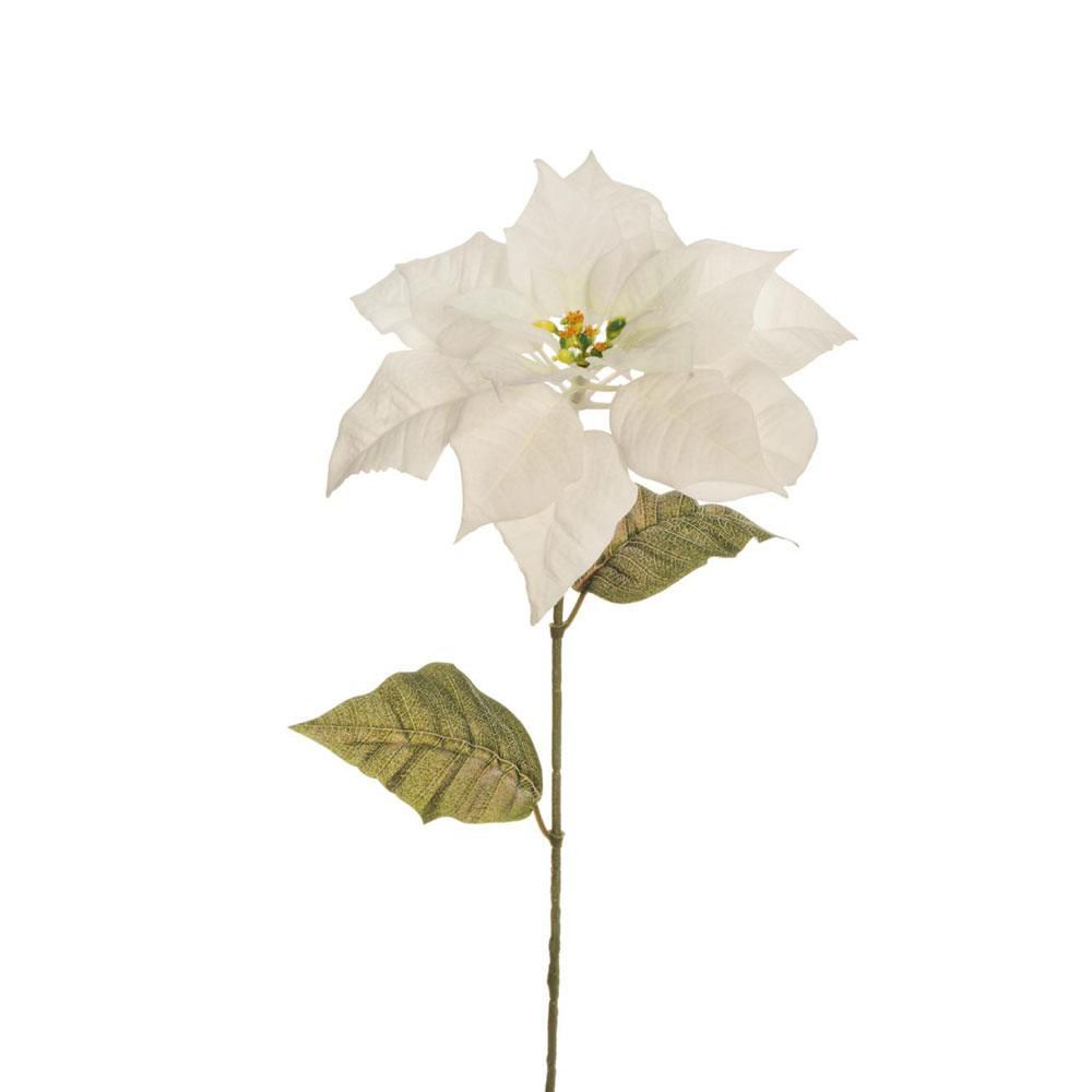 STELLA DI NATALE POINSETTIA VELLUTO 2FG BIANCO