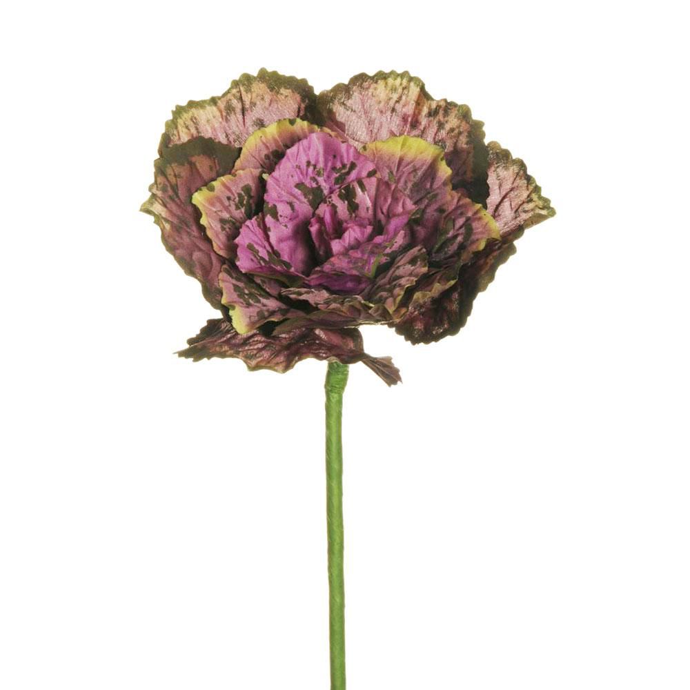 CAVOLO ORNAMENTALE CM.34 PORPORA/VERDE