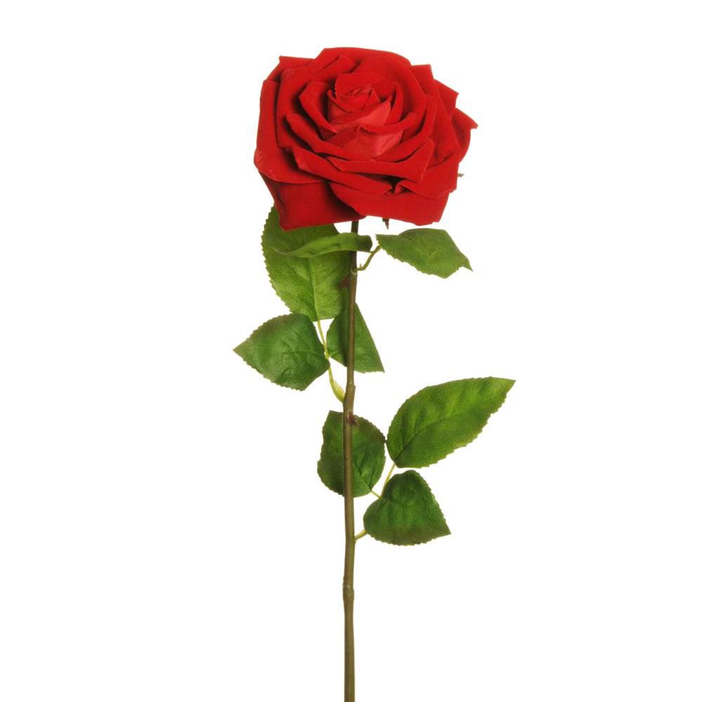 ROSA APERTA ROMANTIC VELLUTO CM.70 ROSSO