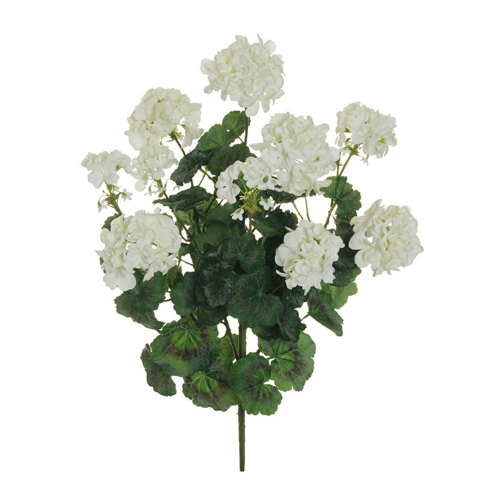 GERANIO BOUQUET 6X CM.64 BIANCO