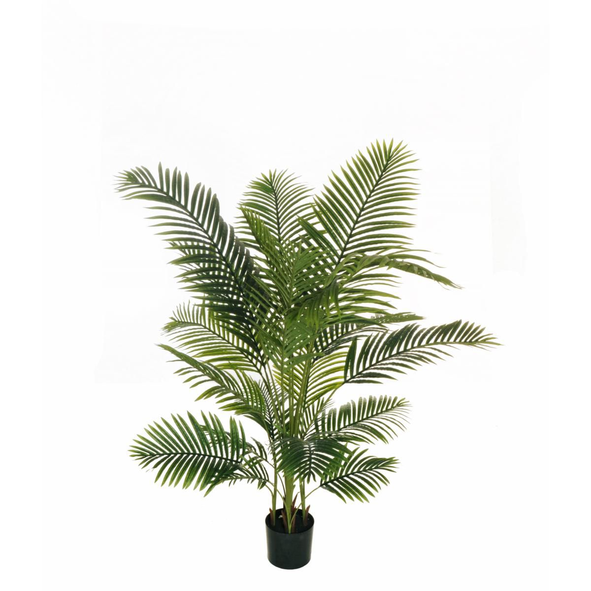ARECA PALMA PIANTA C/VASO 20F REAL TOUCH CM.170 VERDE